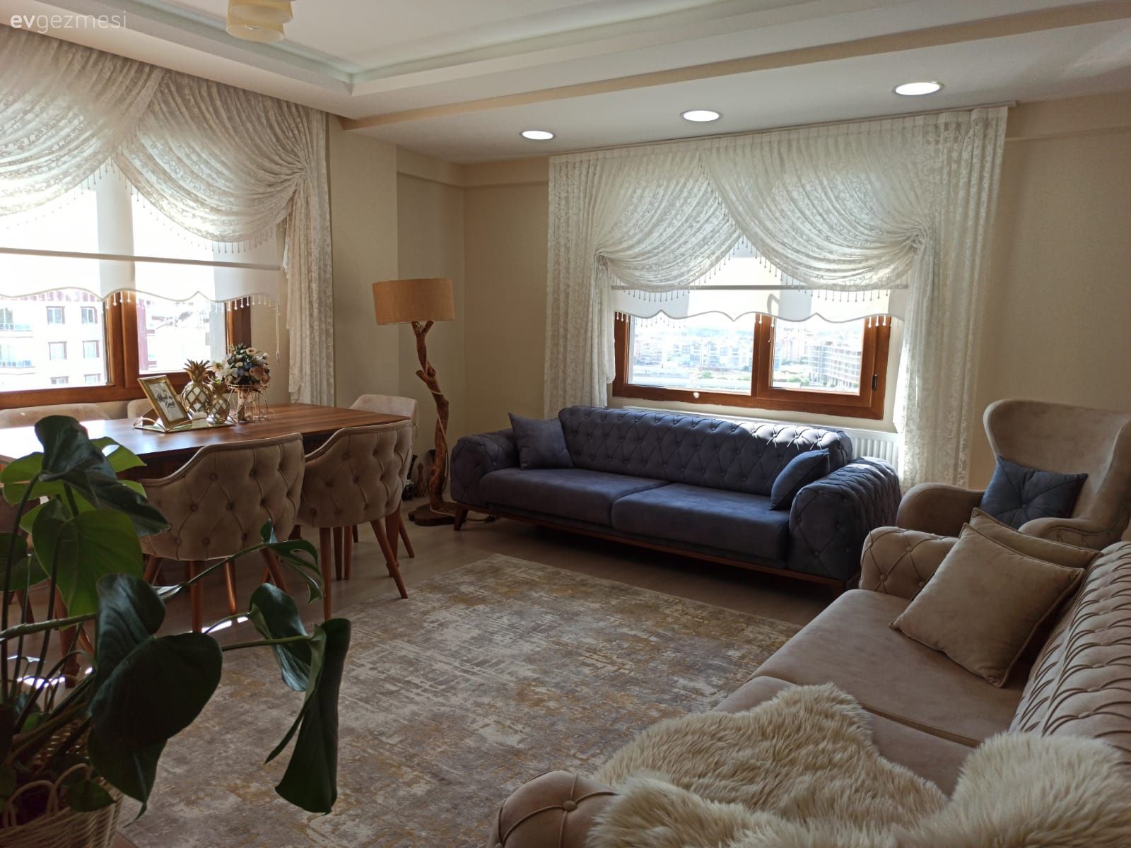 Salon, Bohem Dekorasyon, Koltuk takımı, Mavi, Bej, Krem, Halı, Salon halısı, Yemek masası, Sandalye, Stor perde, Tül perde, Perde, Ev bitkisi, Vizon