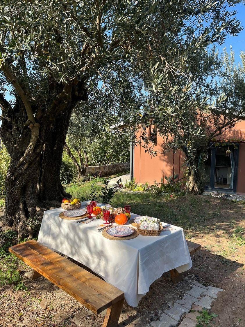 Müstakil Ev, Prefabrik ev