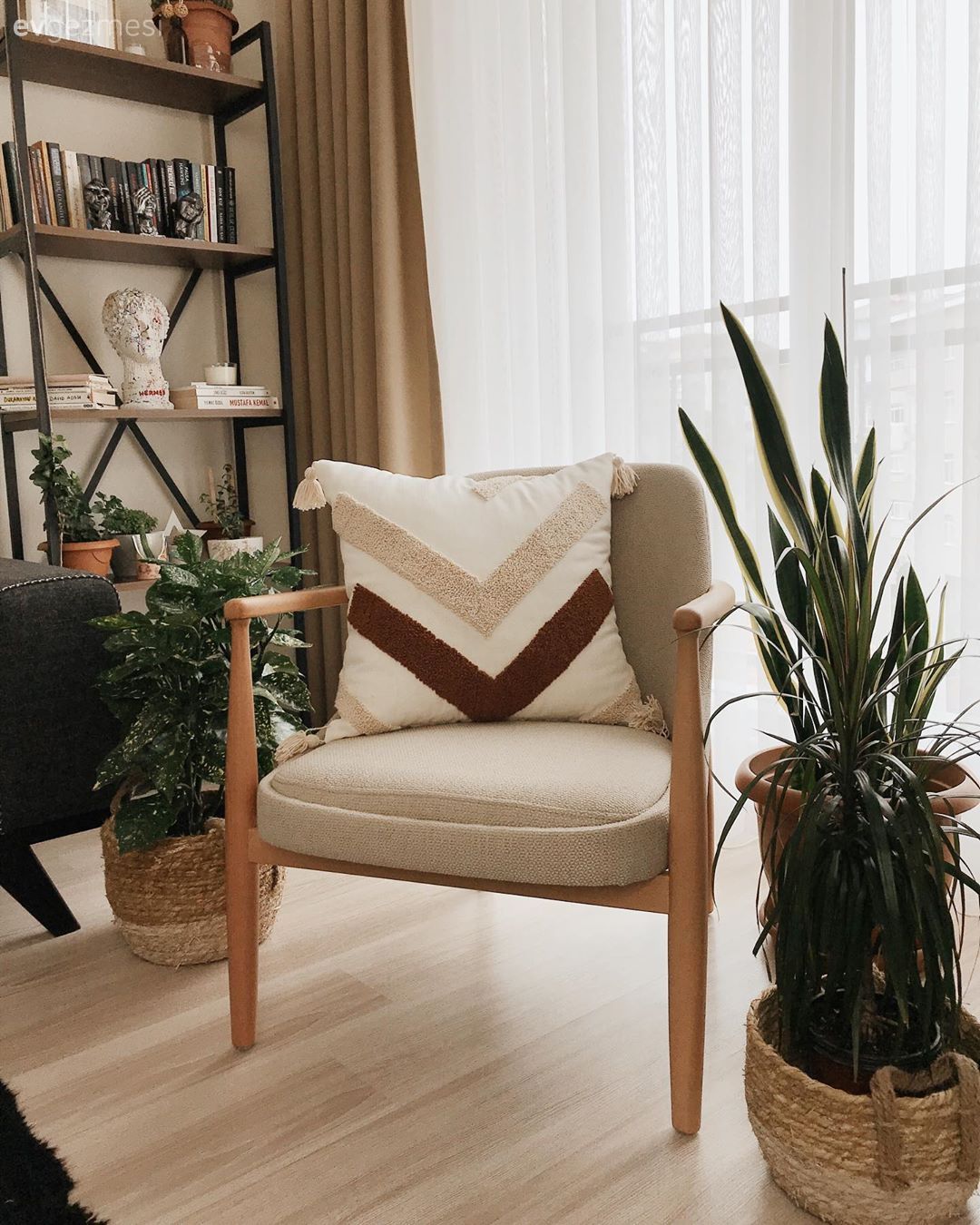 Bej, Vizon, Siyah, Berjer, Hasır sepet, Ev bitkisi, Kitaplık, Fon perde, Perde, Tül perde, Dekoratif Objeler