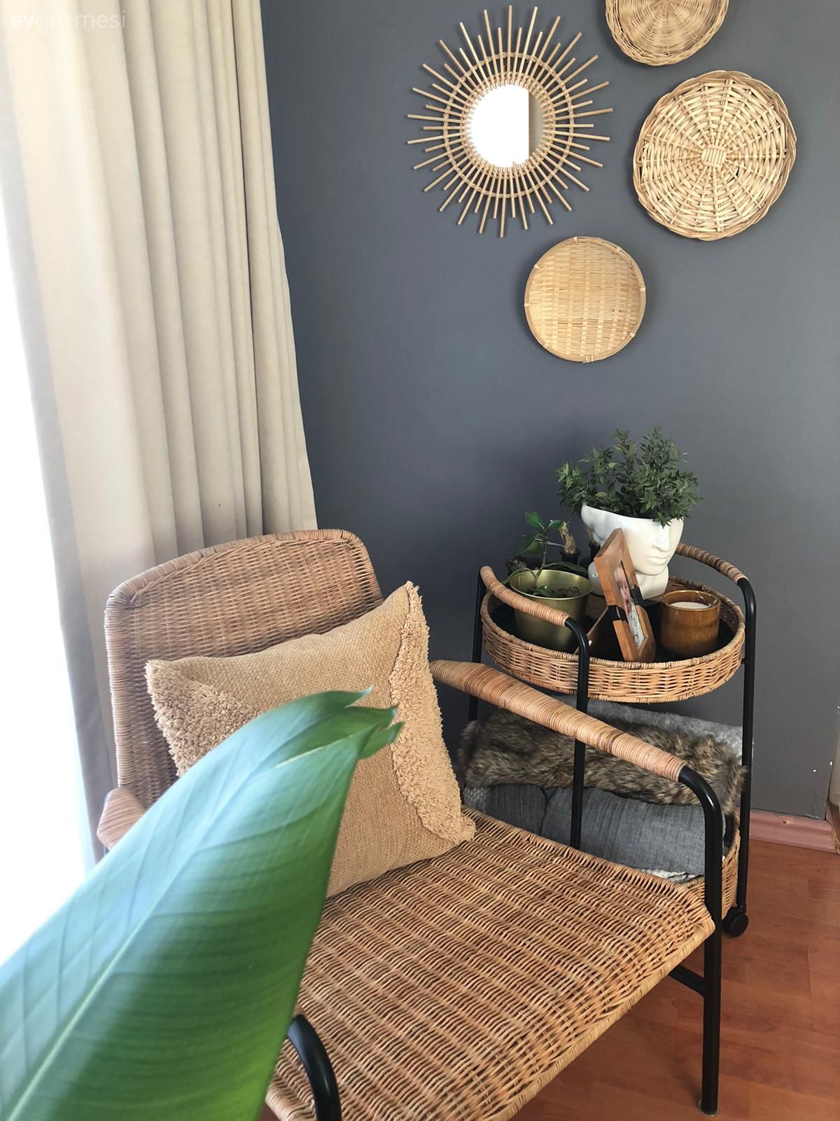 Gri duvar, Hasır sandalye, Rattan sandalye, Duvar dekorasyonu, Ev bitkisi