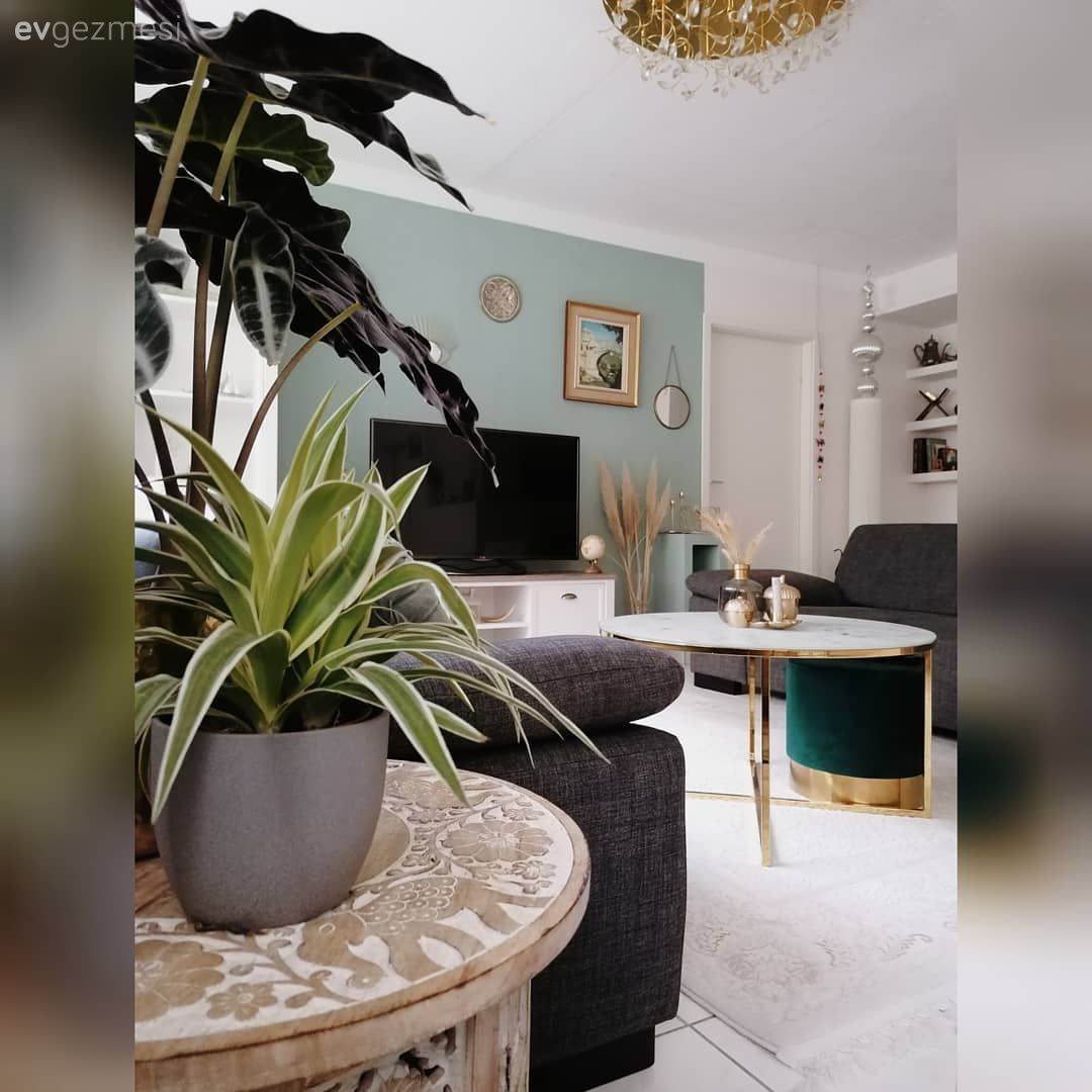 Salon, Mint yeşil, Gri, Altın, Koltuk takımı, Orta sehpa, Sehpa, Metal ayaklı sehpa, Puf, Dolap, Vitrin, Tablo, Duvar dekorasyonu, Yeşil duvar, Halı, Salon halısı, Pampas otu, Sehpa üstü aksesuarı, Ev Aksesuar, Vazo, Dekoratif Objeler, Metal duvar aksesuarı, Duvar saati, Ev bitkisi, Avize, Aydınlatma, Salon avizesi, Beyaz