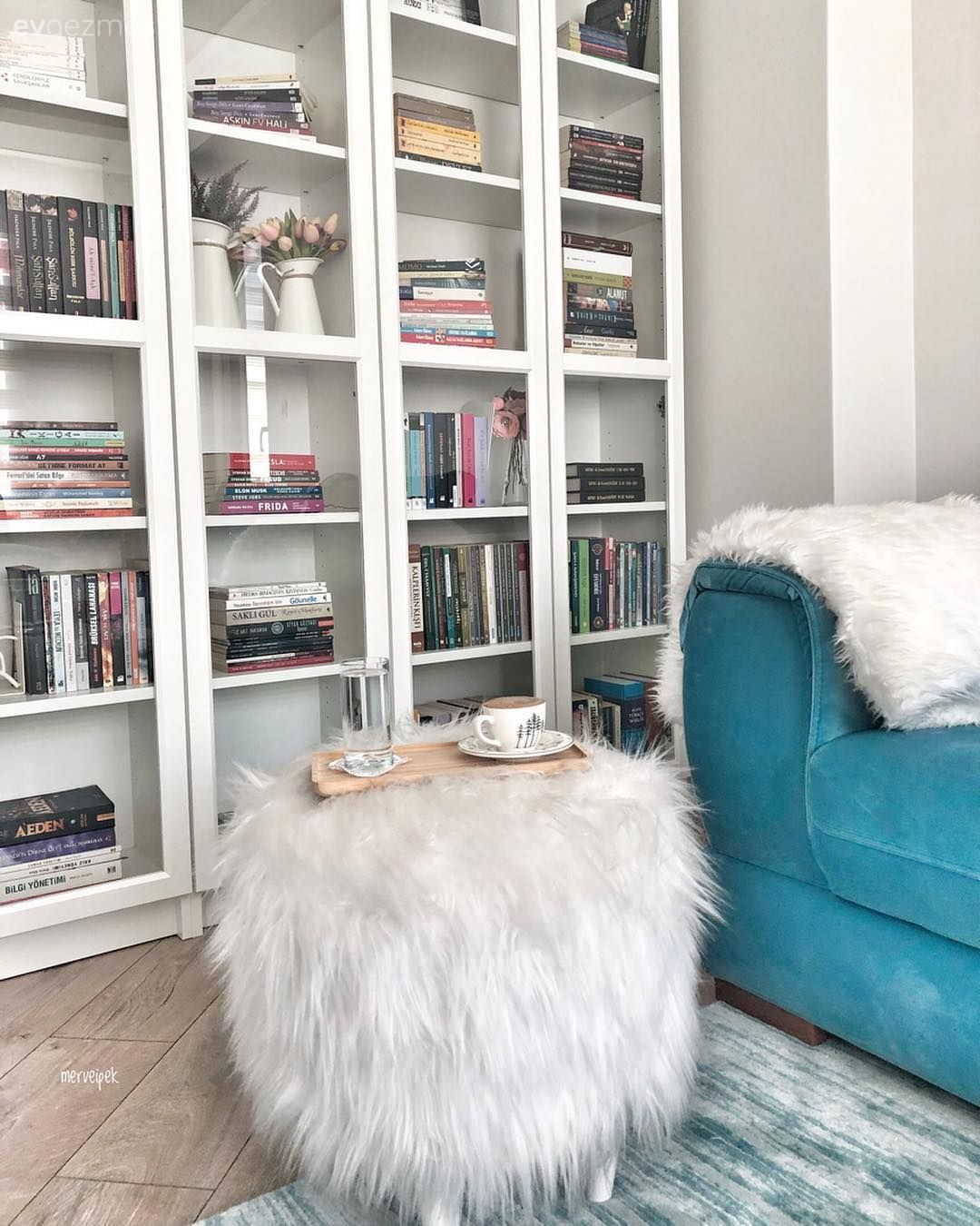 Oturma Odası, Beyaz, Mavi, Kitaplık, Halı, Salon halısı, Tv ünitesi, Puf, Avize, Aydınlatma, Peluş