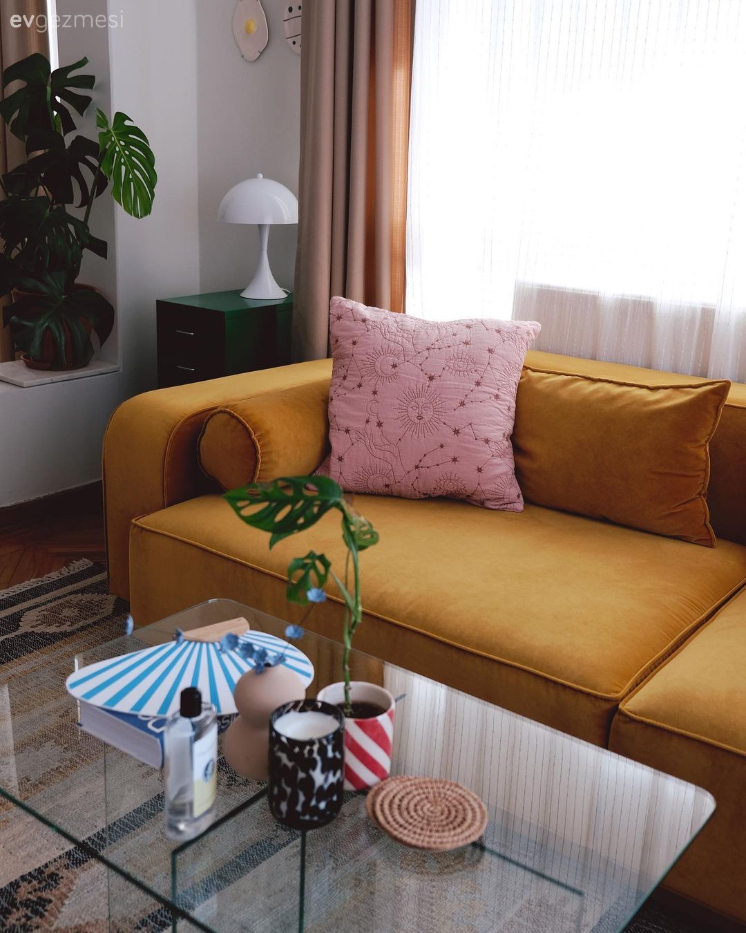 Krem, Kahverengi, Hardal, Koltuk takımı, Ev bitkisi, Cam orta sehpa, Orta sehpa, Fon perde, Perde, Tül perde