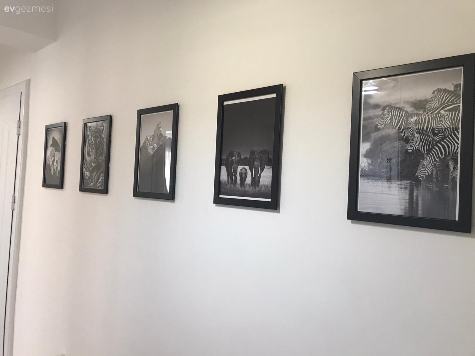 Çerçeve, Antre, Beyaz, Siyah, Duvar dekorasyonu