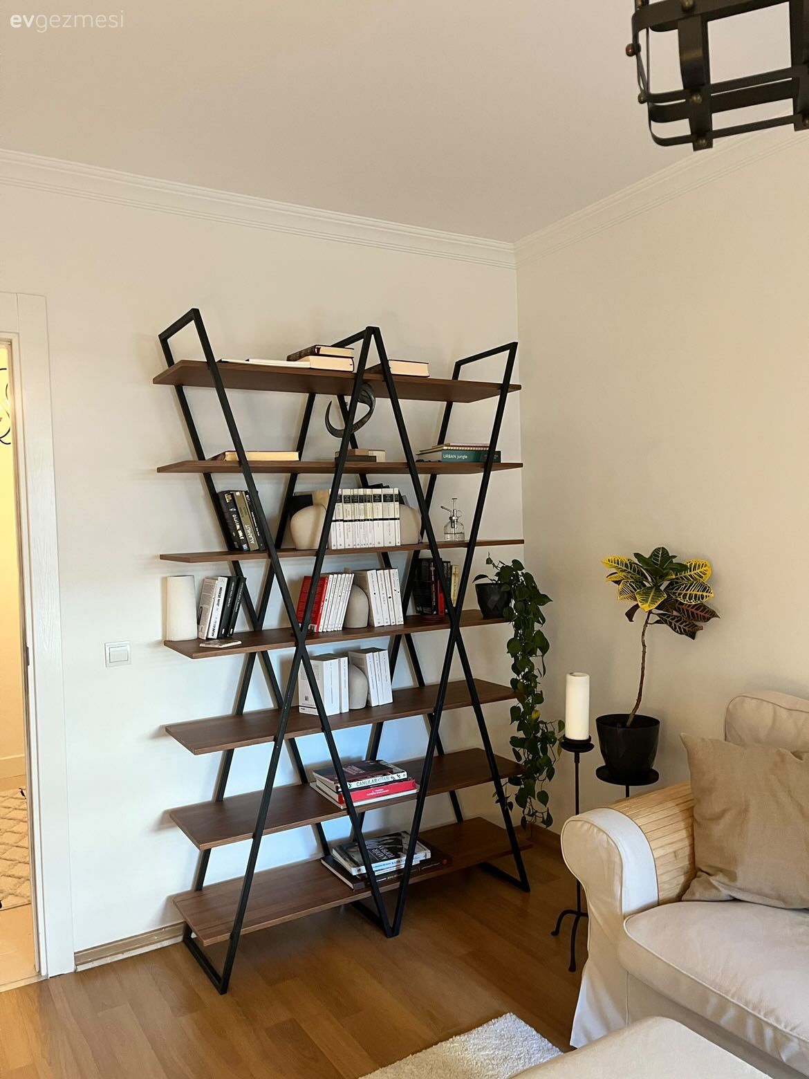 Açık raf, Duvar rafı, Dekoratif Objeler, Ev bitkisi, Saksı