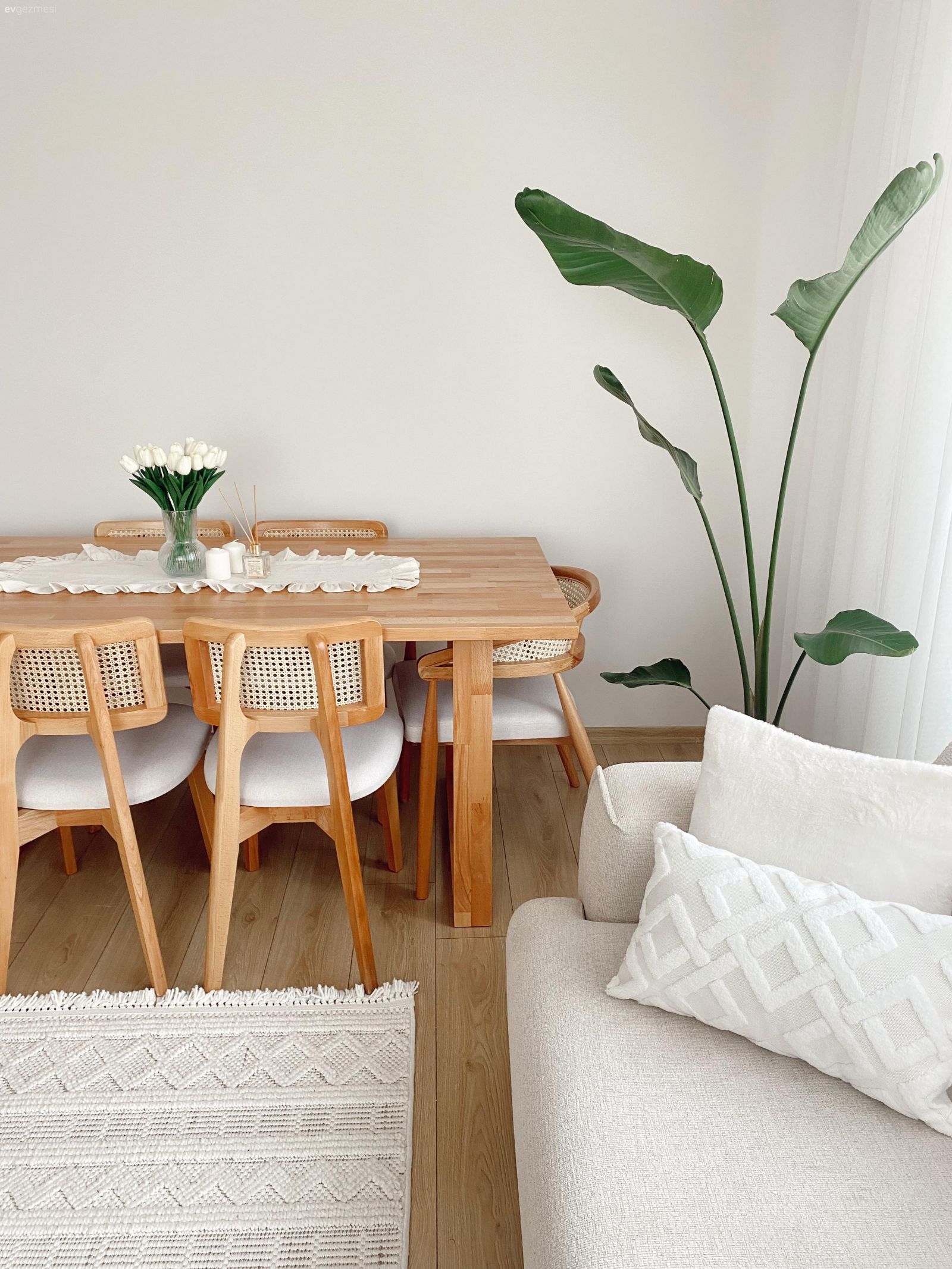 Salon, İskandinav, Beyaz, Bej, Sandalye, Yemek masası, Halı, Salon halısı, Ev bitkisi, Kırlent, Ev tekstili