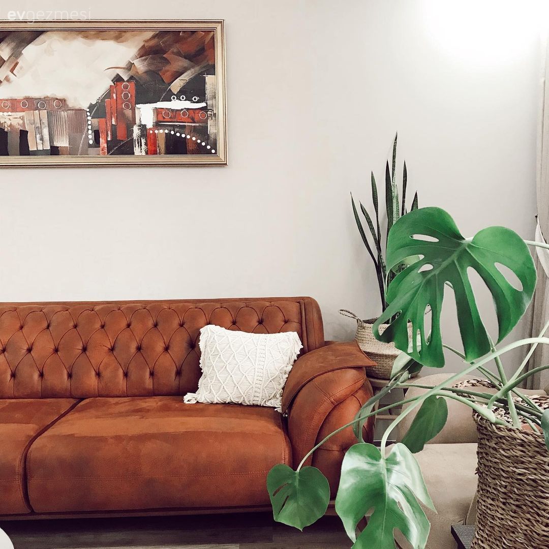 Salon, Modern, Turuncu, Krem, Beyaz, Koltuk takımı, Berjer, Yuvarlak sehpa, Sehpa, Tablo, Duvar dekorasyonu, Tül perde, Perde, Fon perde, Halı