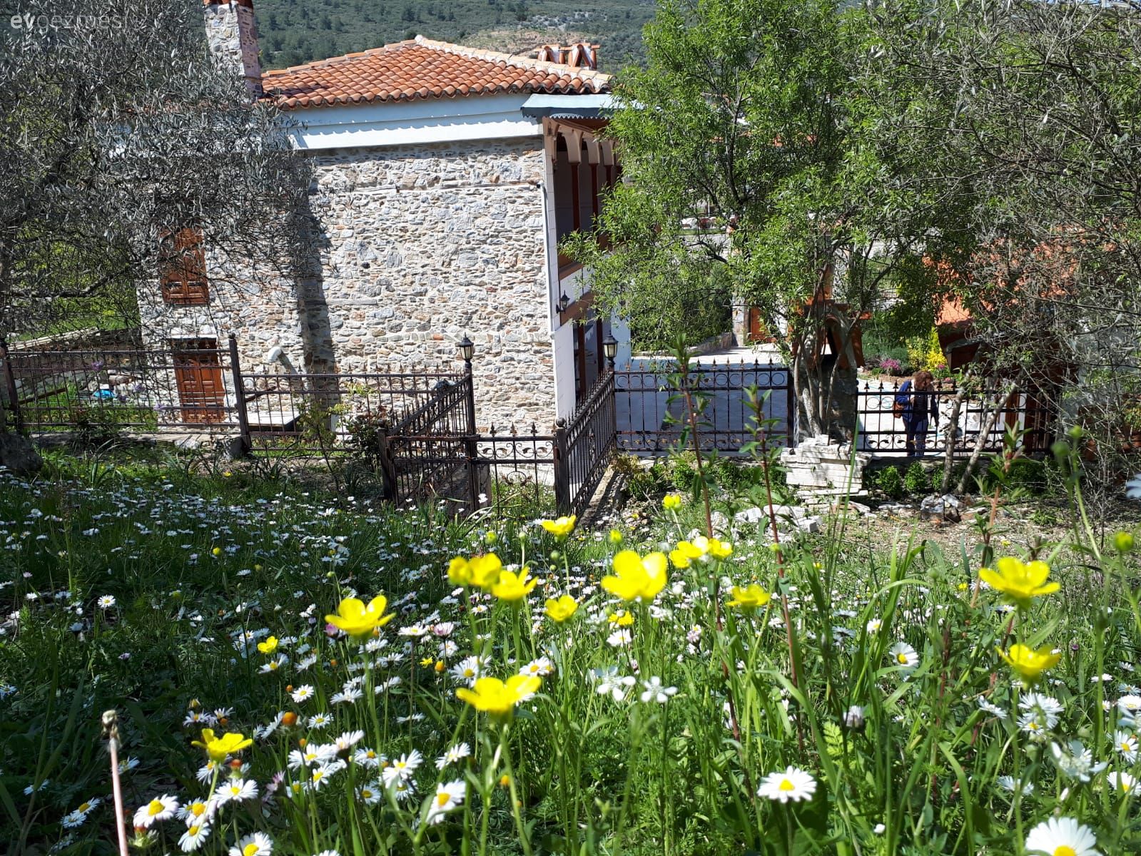 Müstakil Ev, Dış cephe, Bahçe, Çiçekler