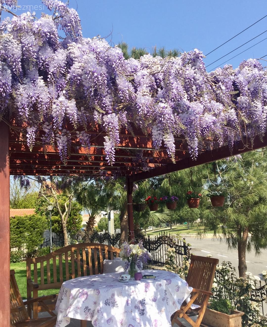 Bahçe, Çiçekler, Bahçe oturma grubu, Bahçe masası