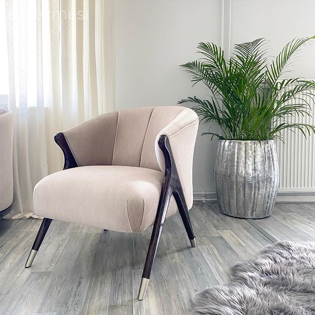 Berjer, Krem, Siyah, Ev bitkisi, Bej, Tül perde, Perde