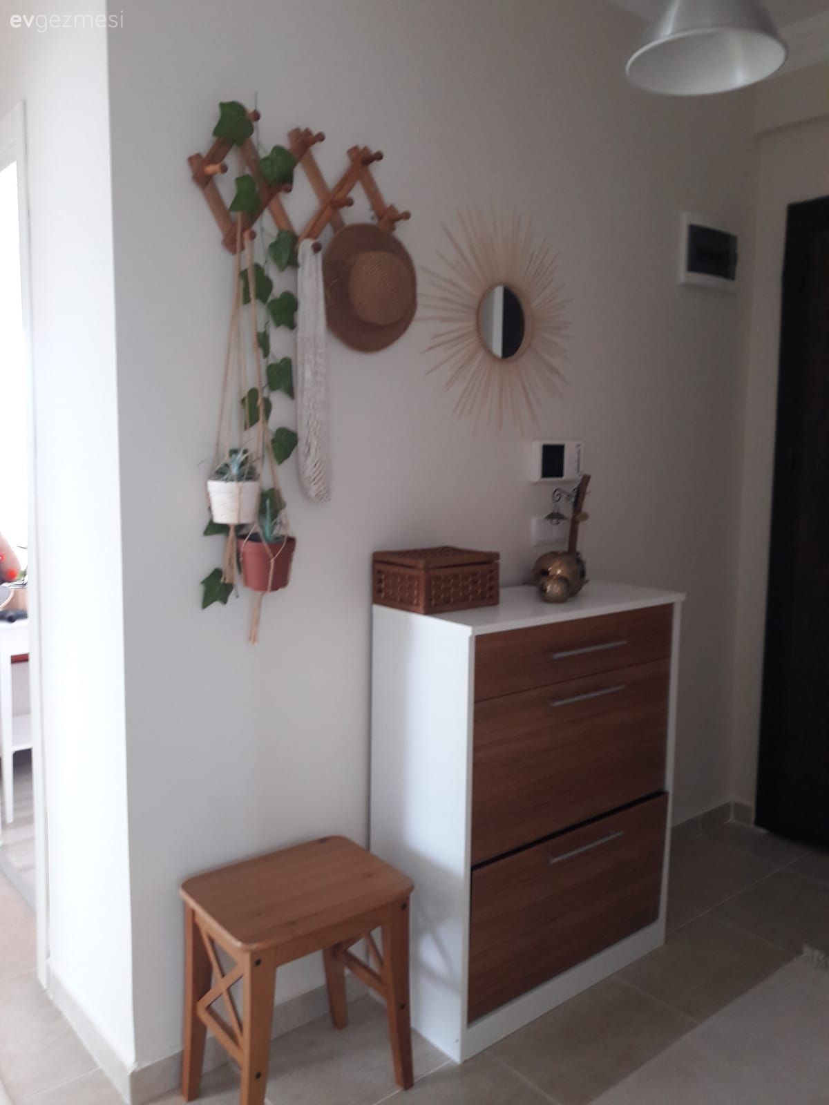 Antre, Beyaz, Kahverengi, Ev bitkisi