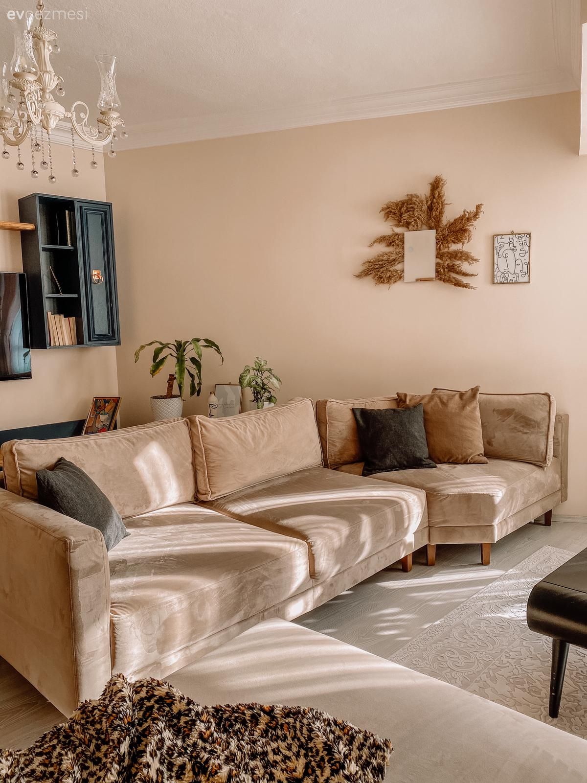 Salon, Rustik, Krem, Siyah, Kahverengi, Altın, Köşe koltuk, Koltuk takımı, Desenler, Orta sehpa, Sehpa, Halı, Salon halısı