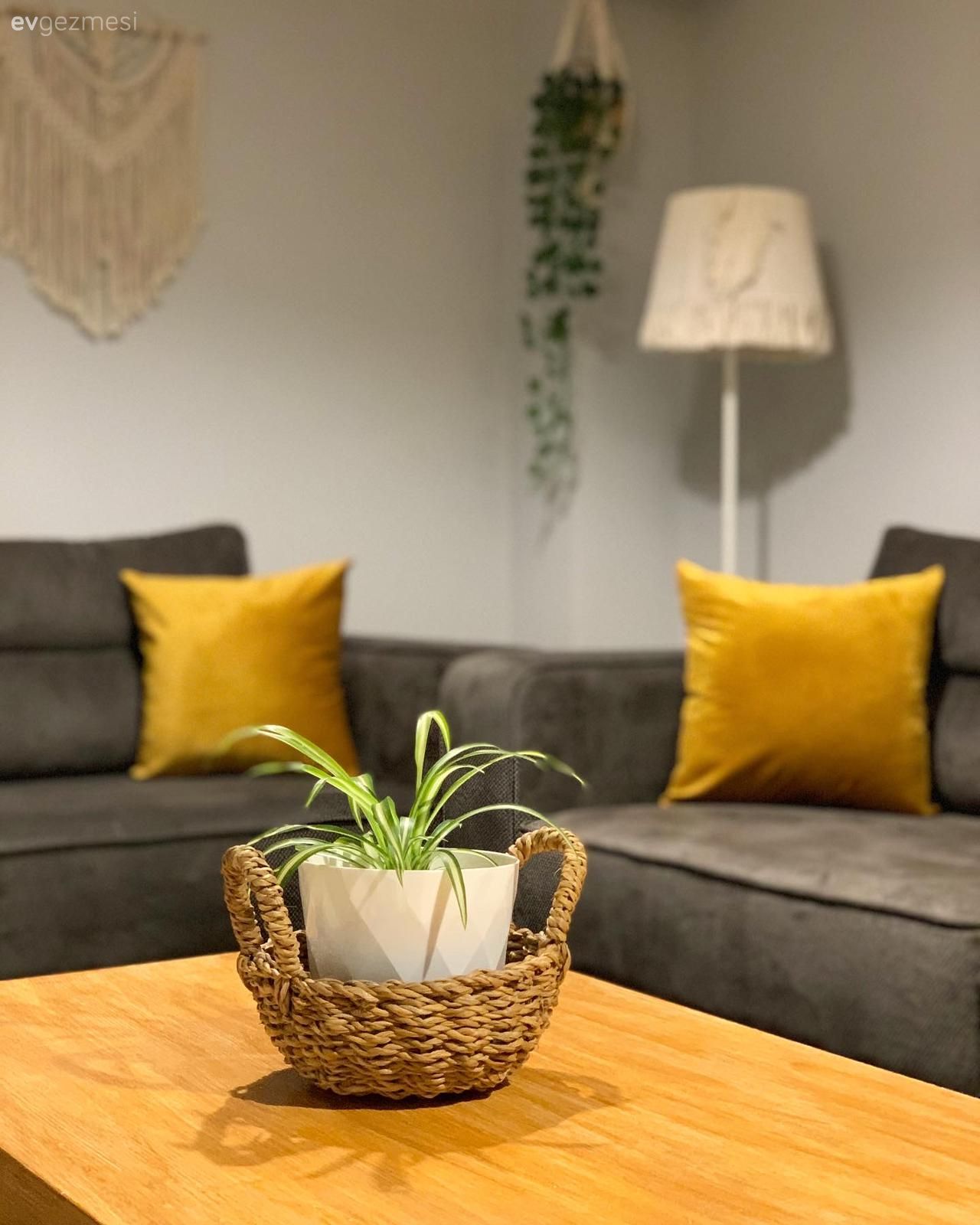 Gri, Sarı, Hardal, Koltuk takımı, Kırlent, Ev tekstili, Makrome, Lambader, Aydınlatma, Hasır sepet, Orta sehpa, Sehpa