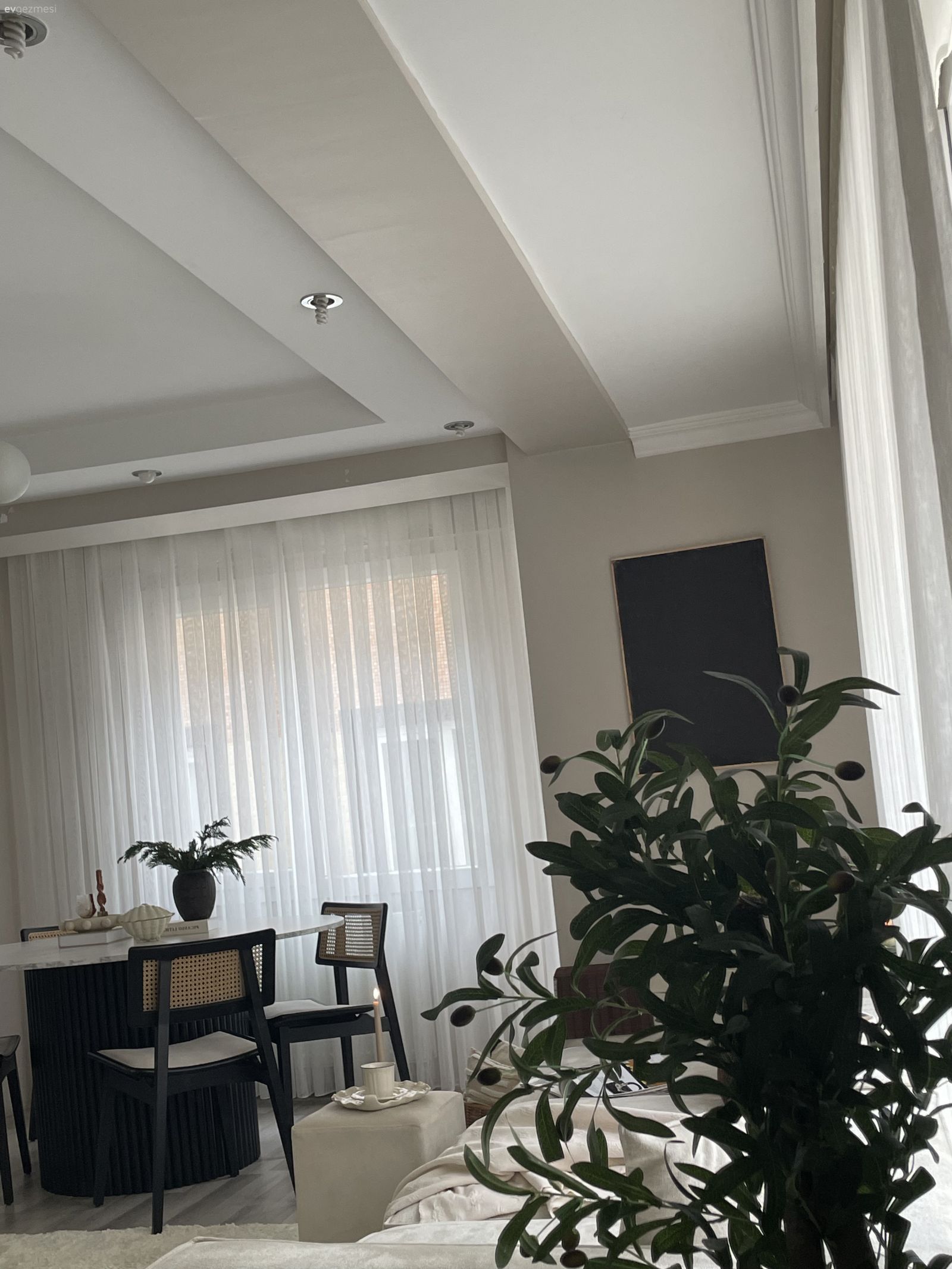 Hazeran, Sandalye, Tül perde, Perde, Ev bitkisi