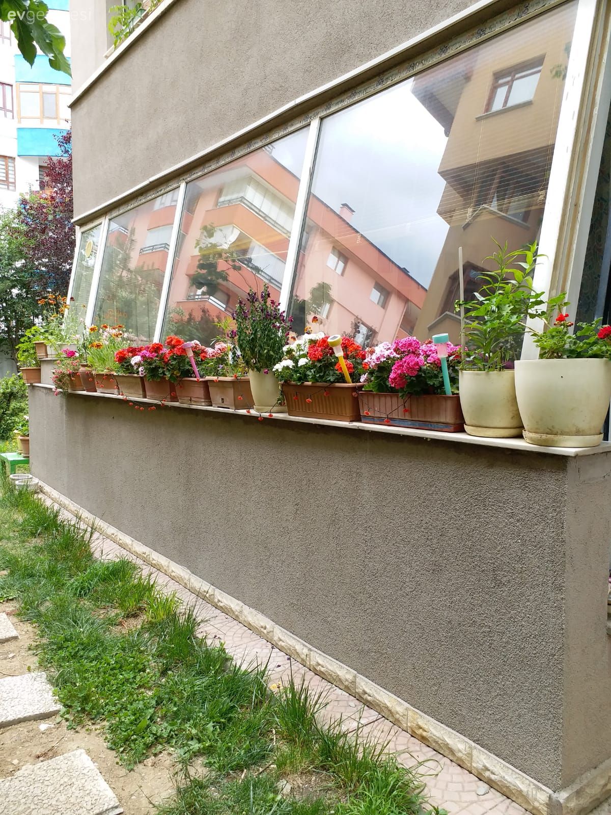 Çiçekler, Balkon, Saksı