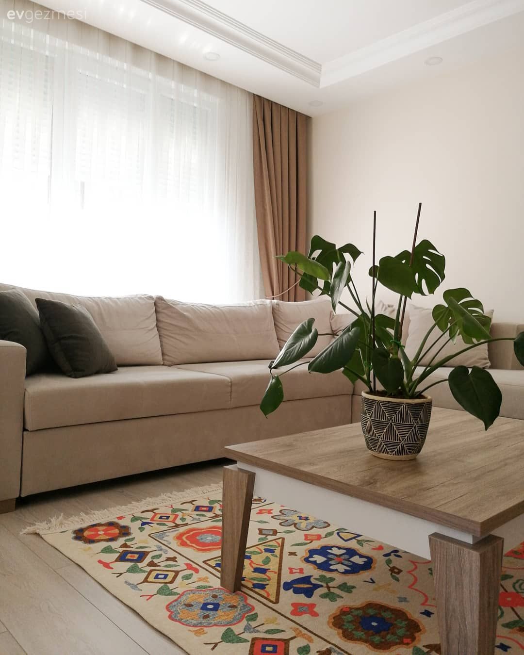 Ev Gezmesi: Başrolü Bitkilerin Kaptığı Keyifli Bir Salon