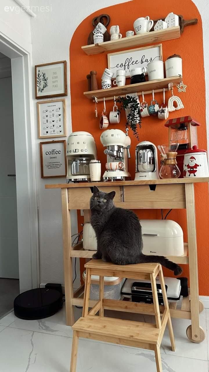 Bu Evde Salondan Antreye Kadar Değişmeyen Alan Kalmamış!