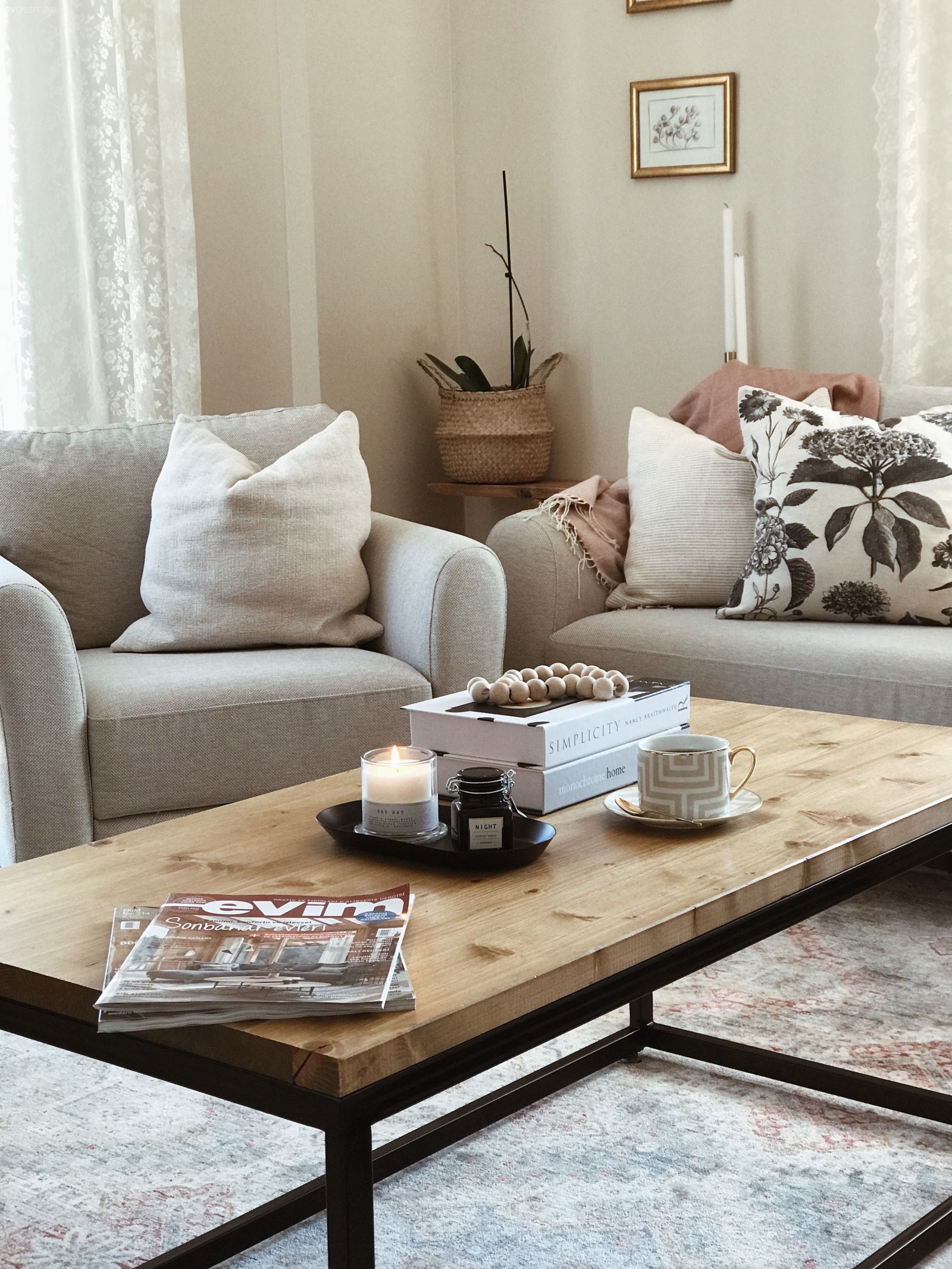 Salon, Modern, Bohem Dekorasyon, Gri, Beyaz, Bej, Koltuk takımı, Orta sehpa, Sehpa, Halı, Berjer, Sandalye, Yemek masası, Duvar rafı, Duvar dekorasyonu, Sarmaşık, Kırlent, Ev tekstili, Tül perde, Perde