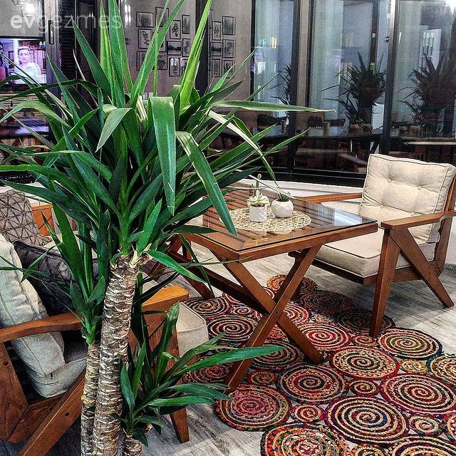 Balkon, Gri, Ahşap Mobilya, Balkon oturma grubu, Balkon duvar dekorasyonu, Saksı, Ev bitkisi, Balkon masası, Balkon halısı