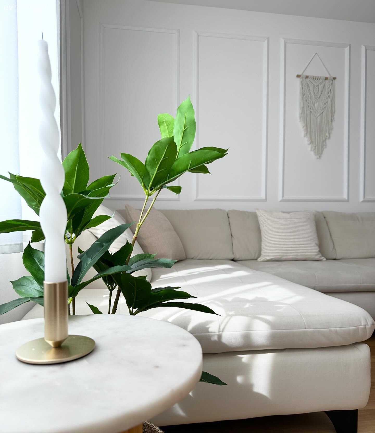 Duvar çıtalama, Beyaz, Krem, Ev bitkisi, Köşe koltuk, Koltuk takımı, Kırlent, Ev tekstili, Yan sehpa, Sehpa