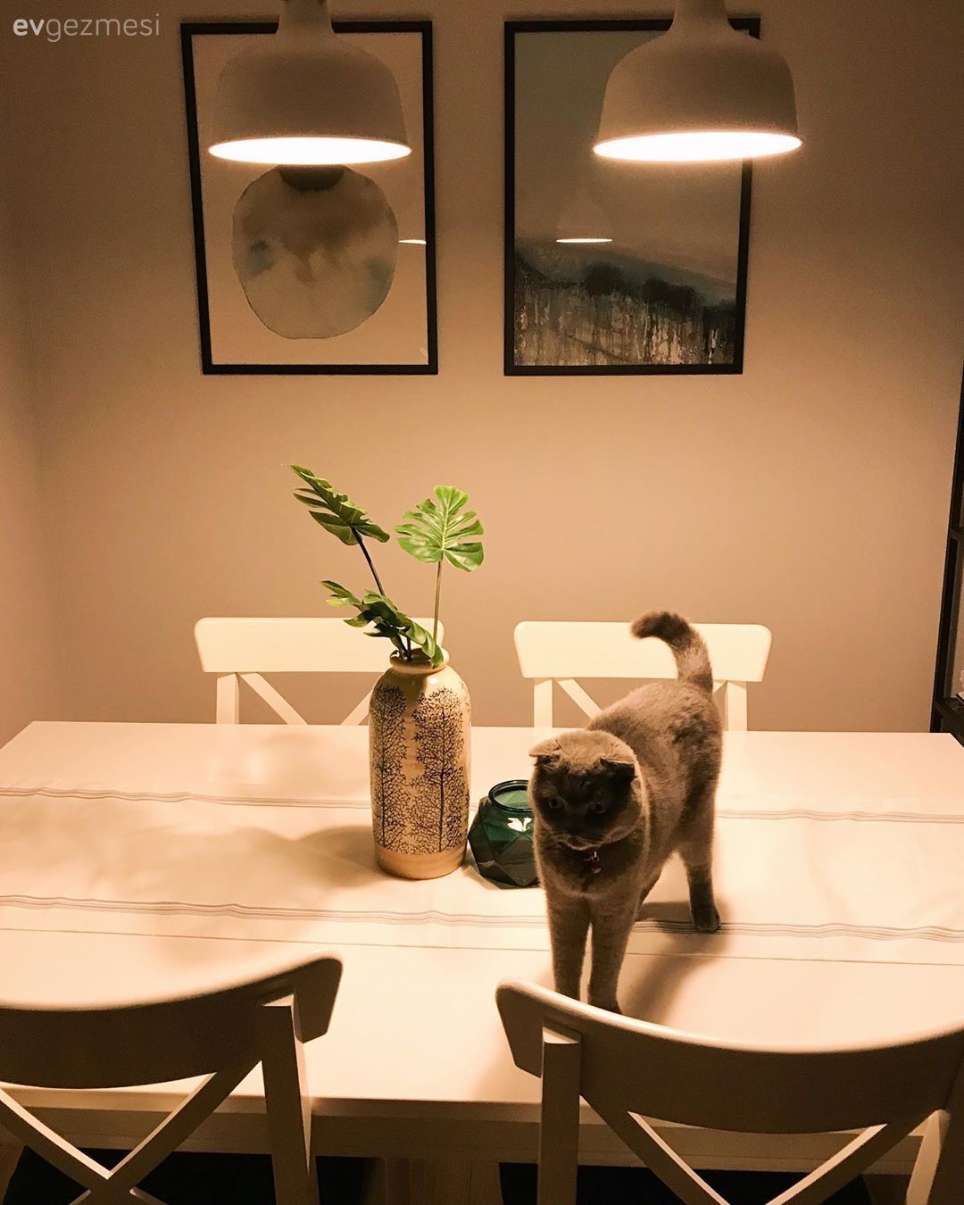 Ev Gezmesi: Konforlu ve Keyifli Bir İzmir Evi