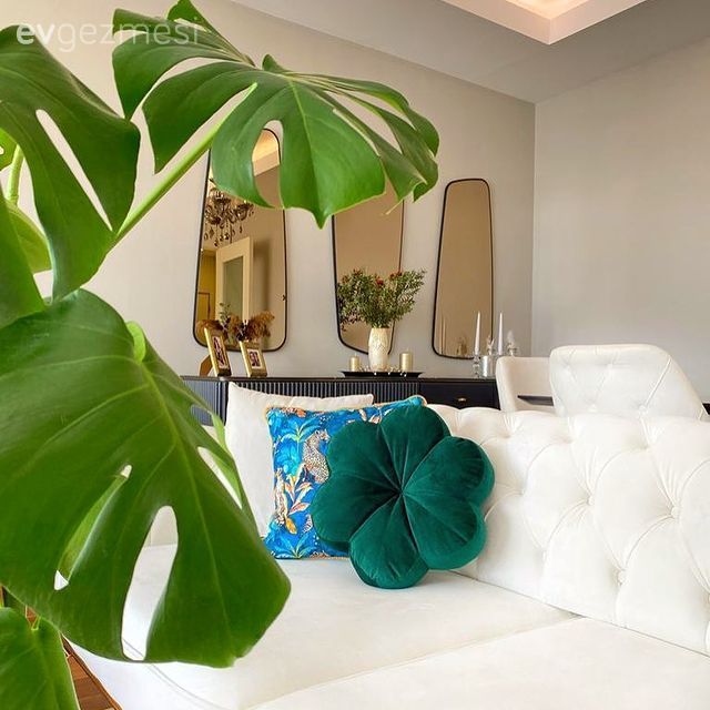 Kırlent, Ev tekstili, Yeşil, Beyaz koltuk, Ayna