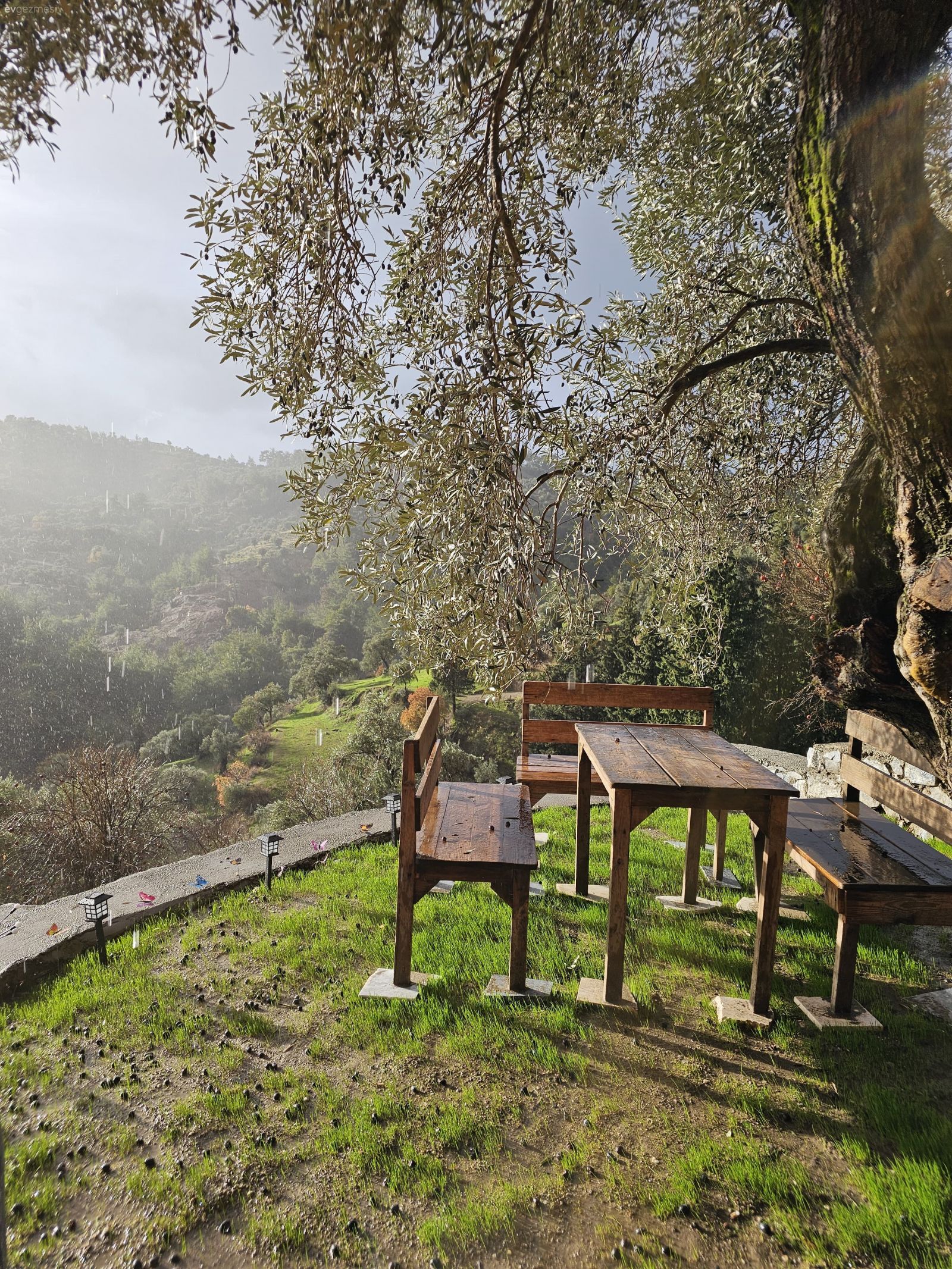 Dağ Köyünde Ahşabın Sıcak Sesi: Aydın'da İki Katlı Bir Köy Evi!