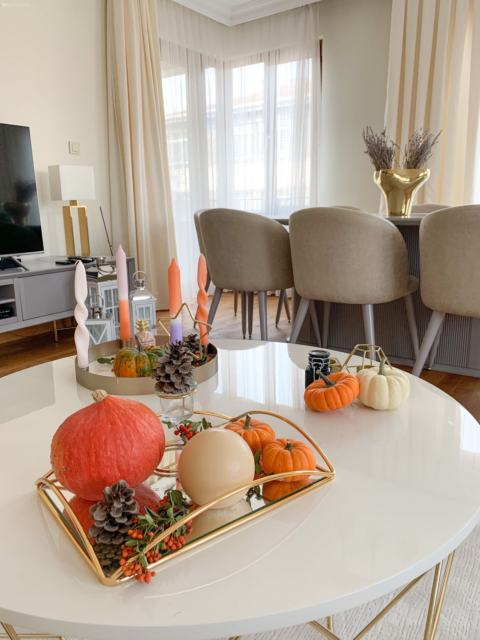 Orta sehpa, Sehpa, Beyaz, Turuncu, Sehpa üstü aksesuarı, Ev Aksesuar, Tv ünitesi, Fon perde, Perde, Tül perde, Sandalye, Yemek masası, Vazo, Pampas otu