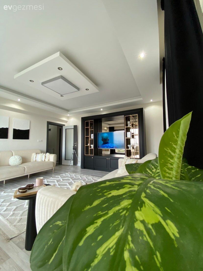 Salon, Modern, Beyaz, Siyah, Tablo, Duvar dekorasyonu, Koltuk takımı, Halı, Salon halısı, Tv ünitesi, Tv ünitesi aksesuarları, Ev Aksesuar, Spot aydınlatma, Aydınlatma, Ev bitkisi