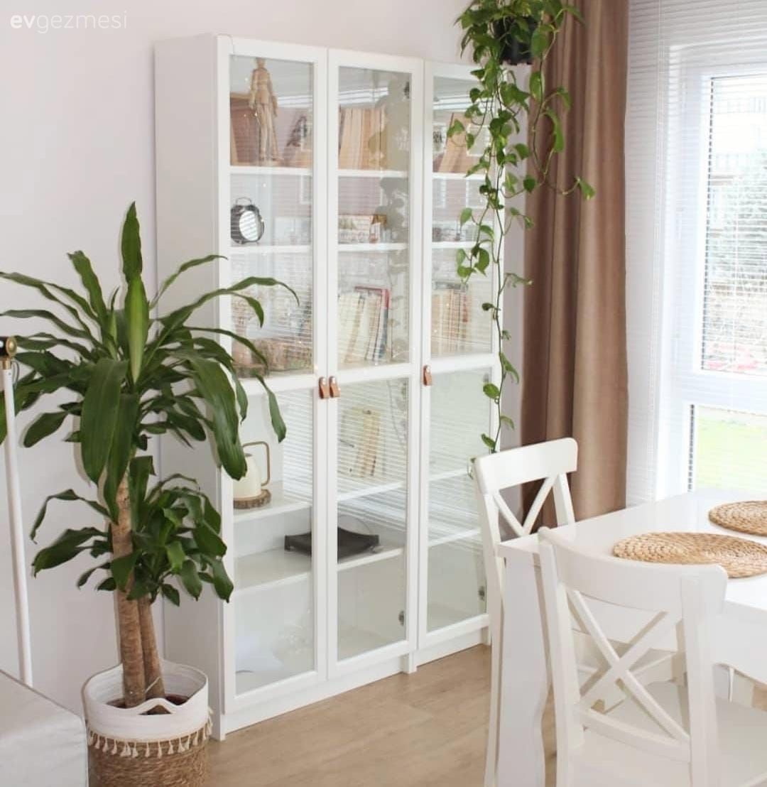 Beyaz, Sandalye, İskandinav, Vitrin, Ev bitkisi, Yemek masası, Halı, Salon halısı, Fon perde, Perde, Tül perde, Avize, Aydınlatma