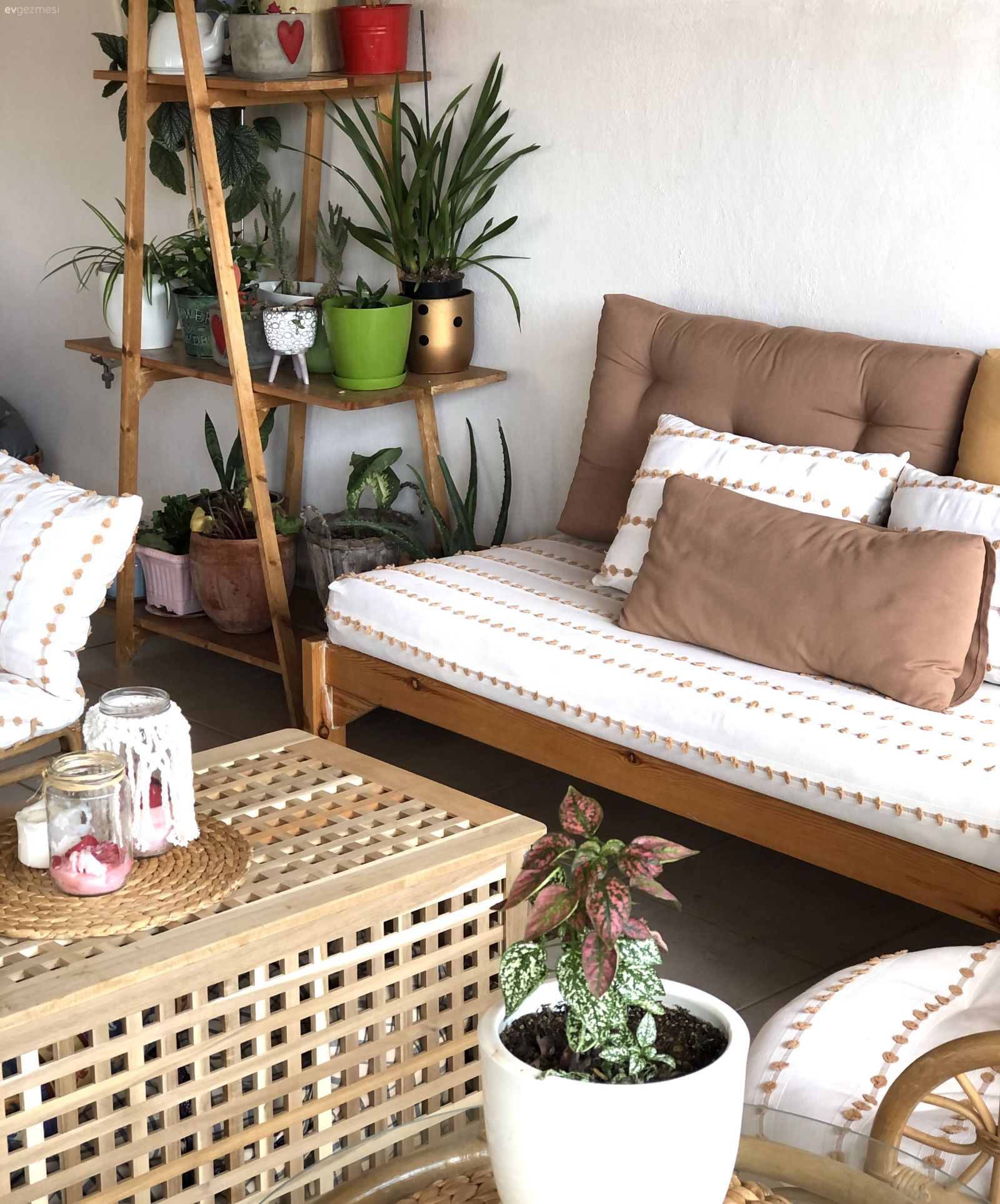 Ev bitkisi, Beyaz, Kahverengi, Hasır, Hasır sepet