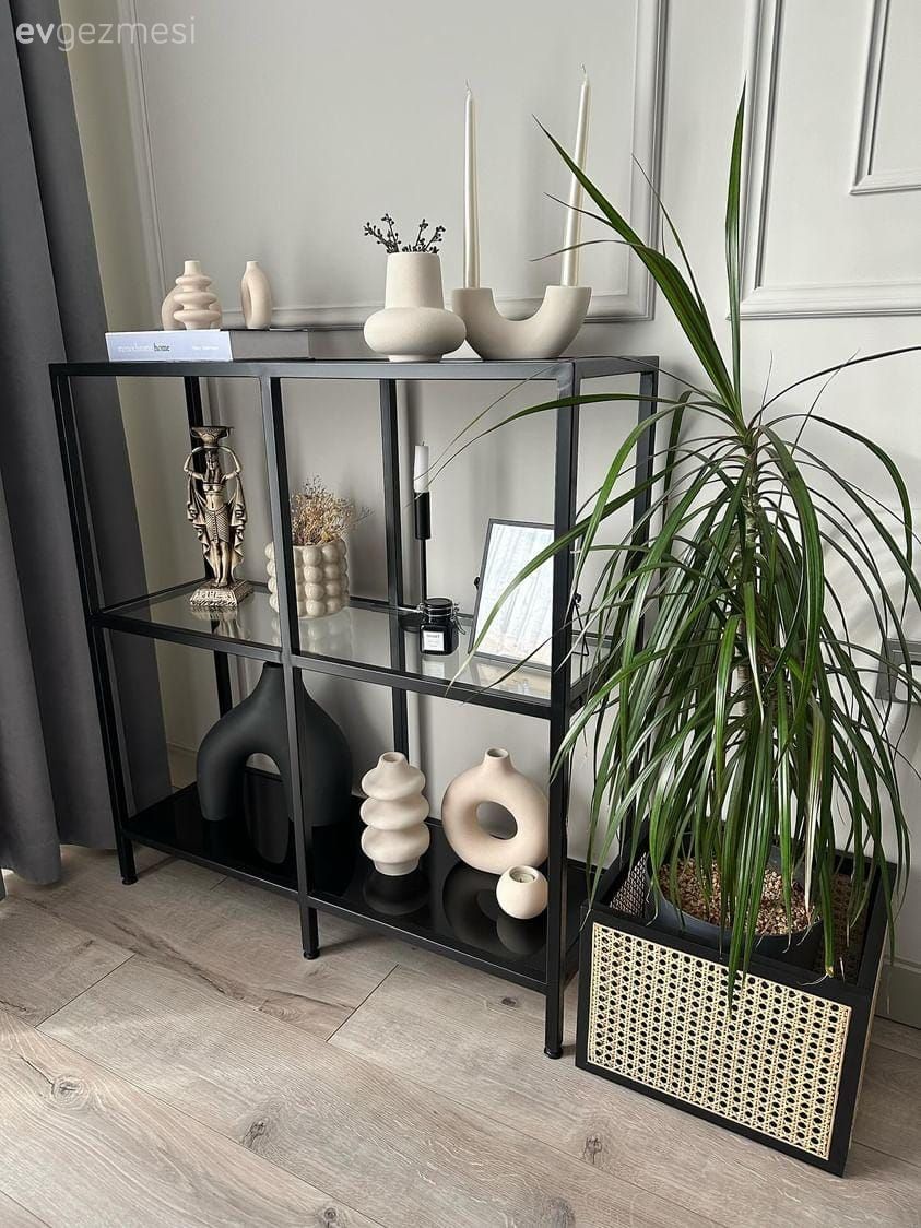 Siyah, Beyaz, Duvar çıtalama, Ev bitkisi, Saksı, Parke, Dekoratif Objeler, Dresuar, Gri duvar, Hazeran