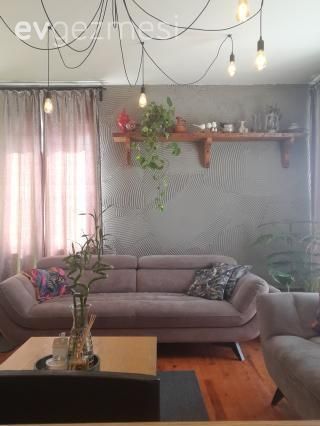 Salon, Vizon, Gri, Ahşap Mobilya, Gri duvar, Tül perde, Perde, Koltuk takımı, Orta sehpa, Sehpa, Halı, Salon halısı, Avize, Aydınlatma, Duvar rafı, Duvar dekorasyonu