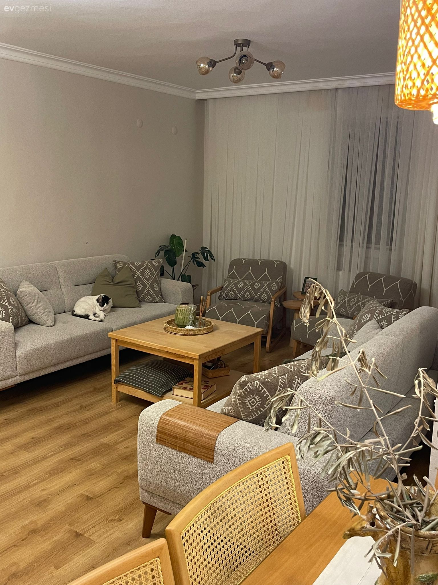 Salon, İskandinav, Gri, Ahşap Mobilya, Sandalye, Yemek masası, Koltuk takımı, Orta sehpa, Sehpa, Parke, Tül perde, Perde