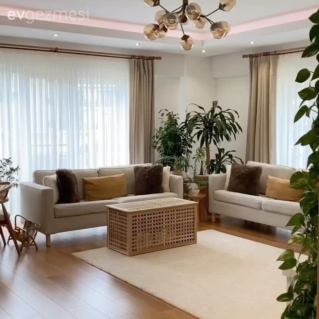 Salon, Beyaz, Hardal, Kahverengi, Krem, Bej, Koltuk takımı, Ev bitkisi, Fon perde, Perde, Tül perde, Orta sehpa, Sehpa, Avize, Aydınlatma, Salon avizesi, Halı, Salon halısı, Kırlent, Ev tekstili, Hasır