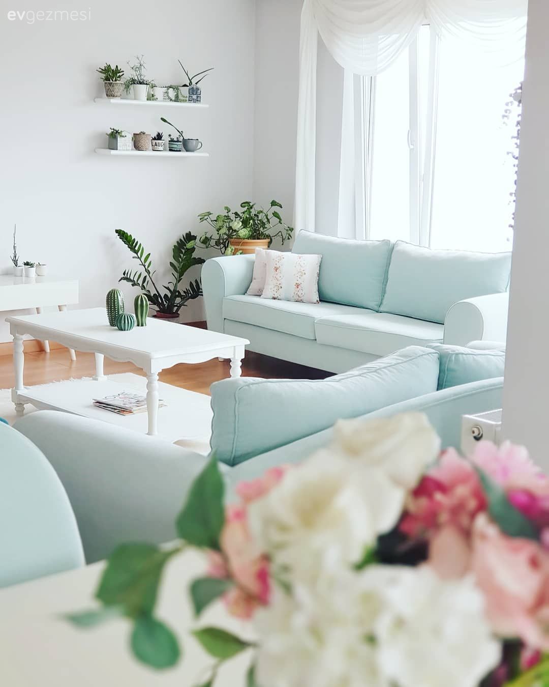 Salon, Country, Mavi, Beyaz, Koltuk takımı, Orta sehpa, Sehpa, Tül perde, Perde, Duvar rafı, Duvar dekorasyonu, Ev bitkisi, Halı, Salon halısı, Berjer, Turkuaz