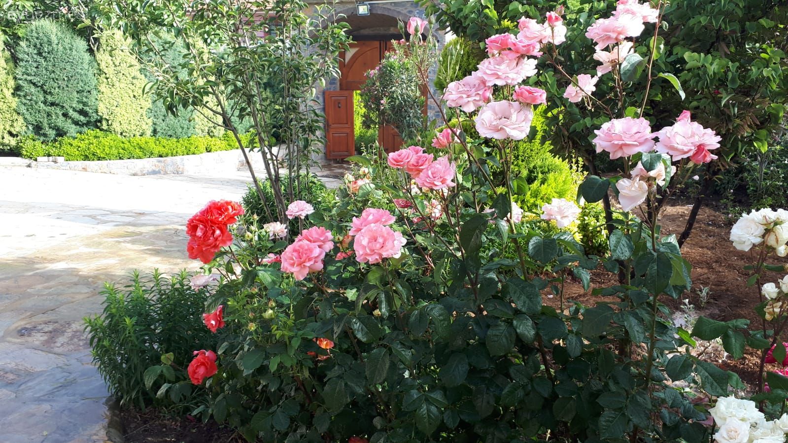 Müstakil Ev, Dış cephe, Bahçe, Çiçekler