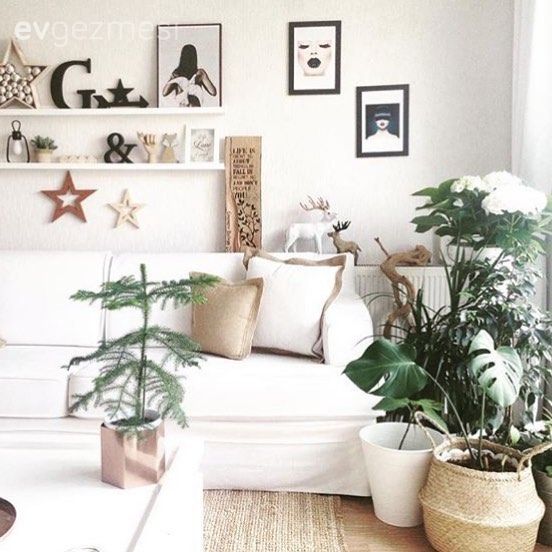 Bu Evin Sahibine Beyaz Koltukları Verin ve Sonucu İzleyin!