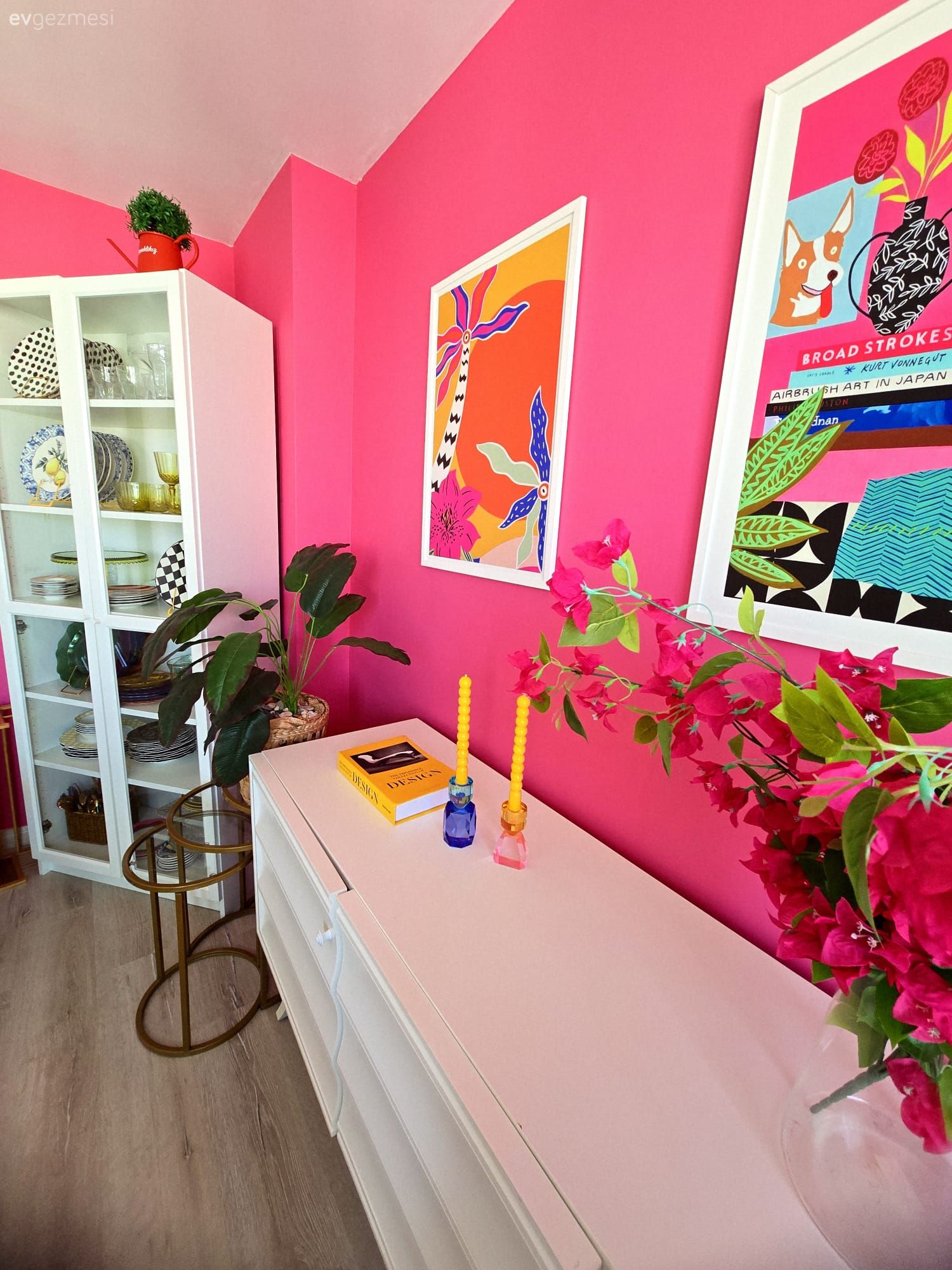 Pembe, Beyaz, Vitrin, Tablo, Duvar dekorasyonu, Konsol, Konsol üzeri dekoratif objeleri, Saksı, Ev bitkisi