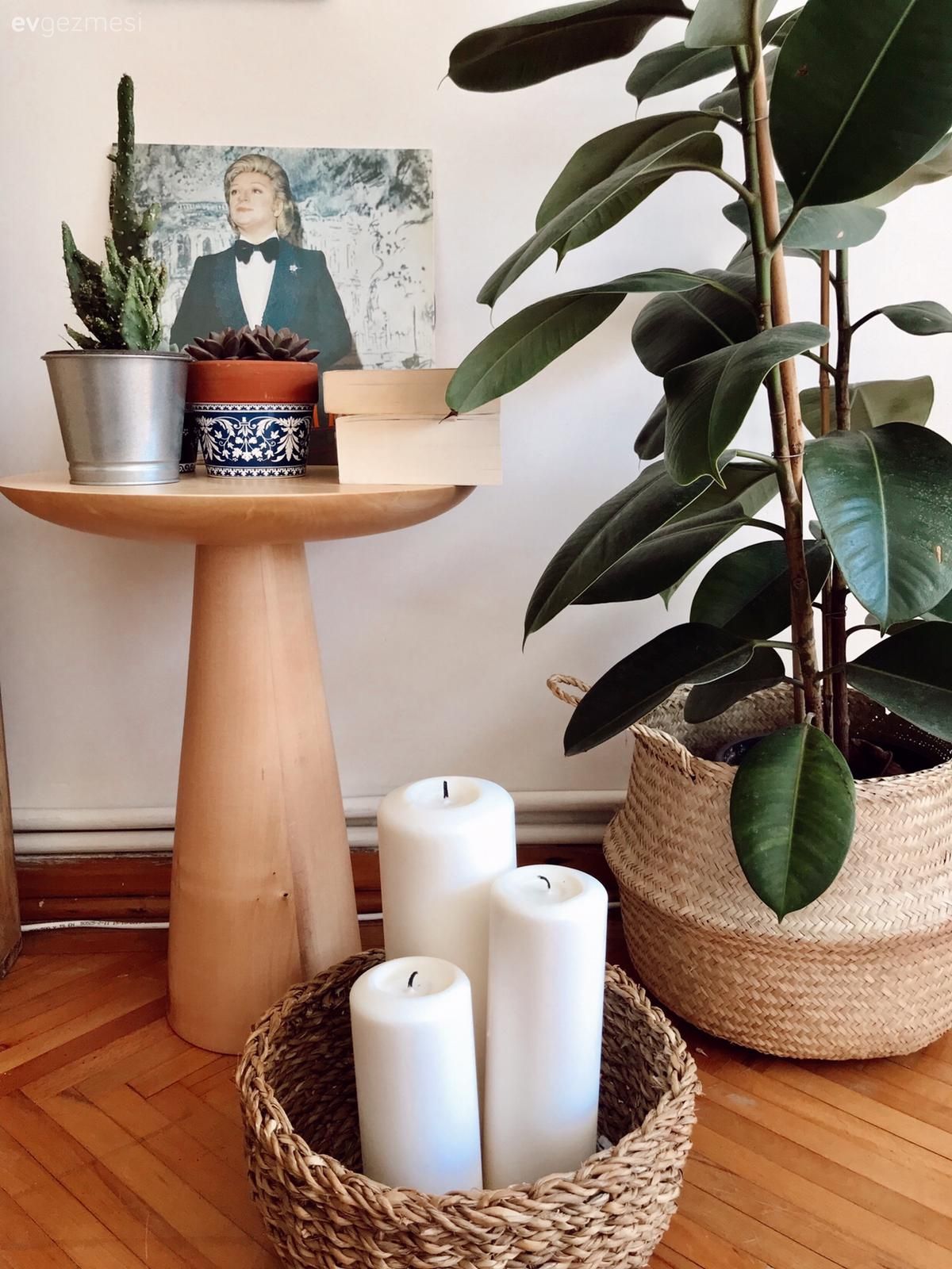 Hasır sepet, Saksı, Ev bitkisi, Sehpa, Mum