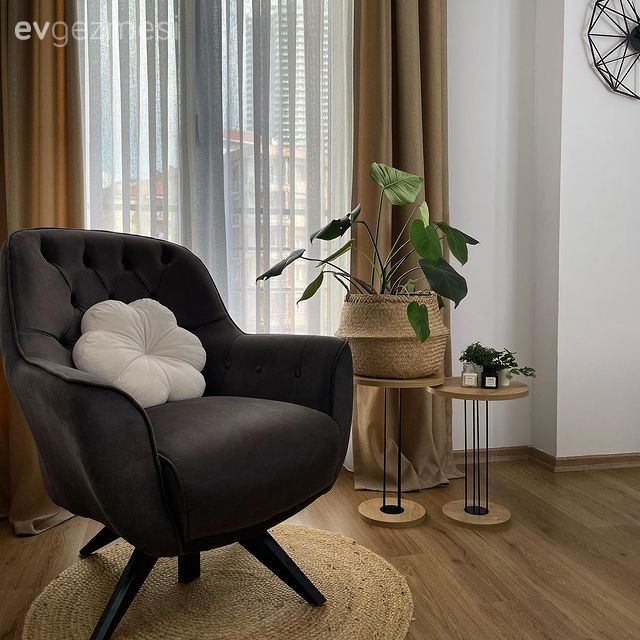 Krem, Gri, Berjer, Ev bitkisi, Jüt halı, Halı, Saksı, Tül perde, Perde