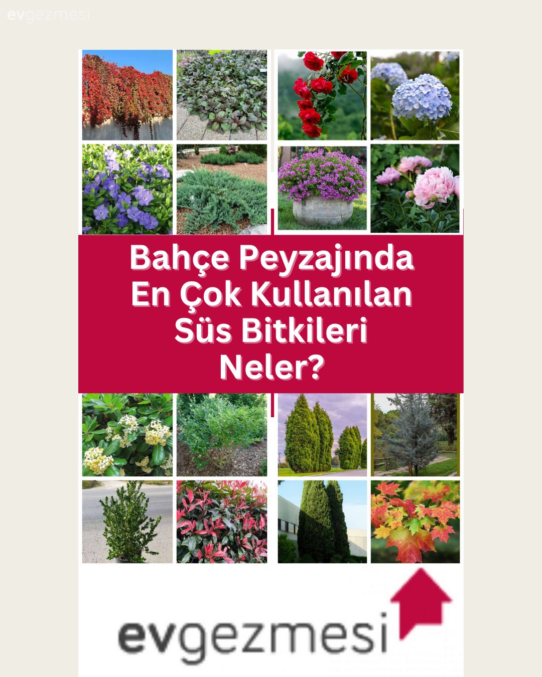 Bahçe Peyzajında En Çok Kullanılan Süs Bitkileri Neler?