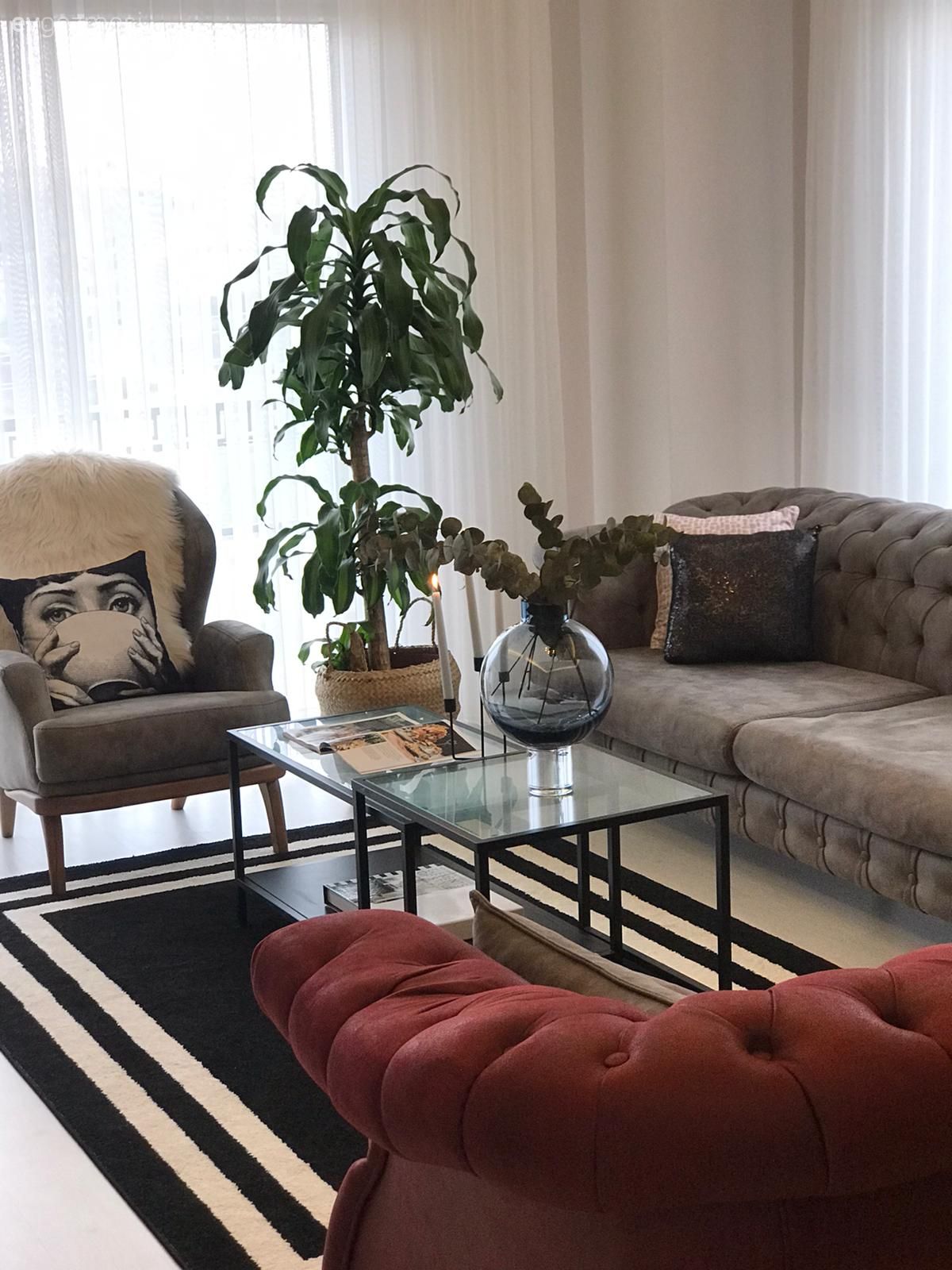 Gri koltuk, Modern, Beyaz, Gri, Kırmızı, Siyah, Tül perde, Perde, Modern chesterfield, Avize, Aydınlatma, Halı, Salon halısı, Ev bitkisi, Saksı, Orta sehpa, Sehpa, Vazo, Ev Aksesuar, Kırlent, Ev tekstili