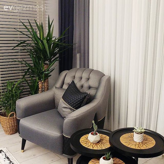 Salon, Berjer, Jaluzi, Beyaz, Tv ünitesi, Ev bitkisi, Halı, Salon halısı