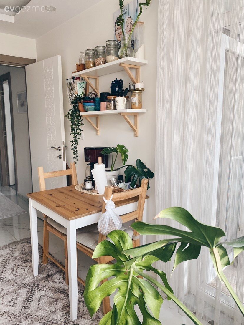 Mutfak, Beyaz, İskandinav, Mutfak masası, Mutfak rafı, Ev bitkisi