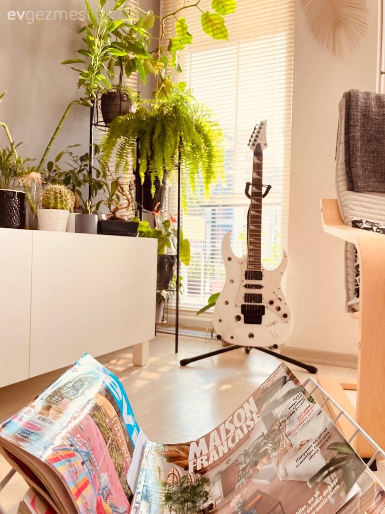 Modern, Salon, Tv ünitesi, Tv ünitesi aksesuarları, Ev Aksesuar, Beyaz, Siyah, Ev bitkisi, Gri duvar