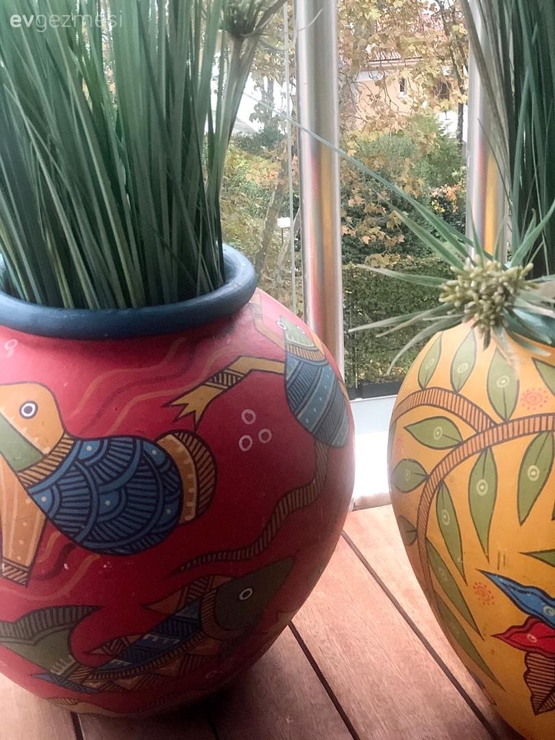 Vazo, Ev Aksesuar, Ev bitkisi