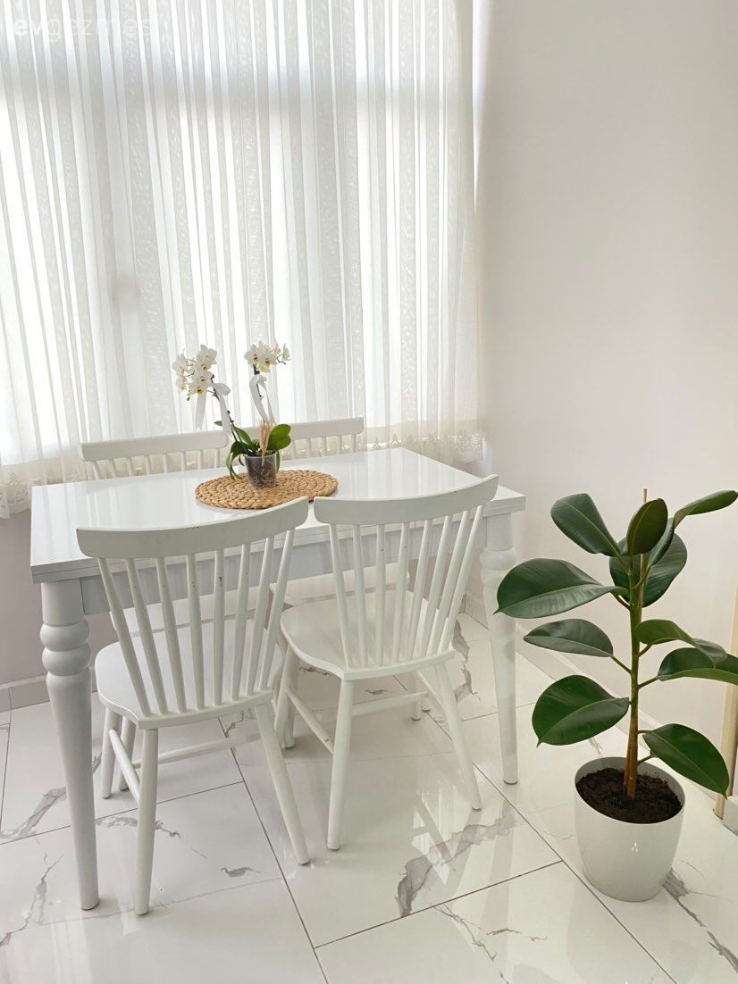Sandalye, Beyaz, Mutfak perdesi, Ev bitkisi, Mutfak masası