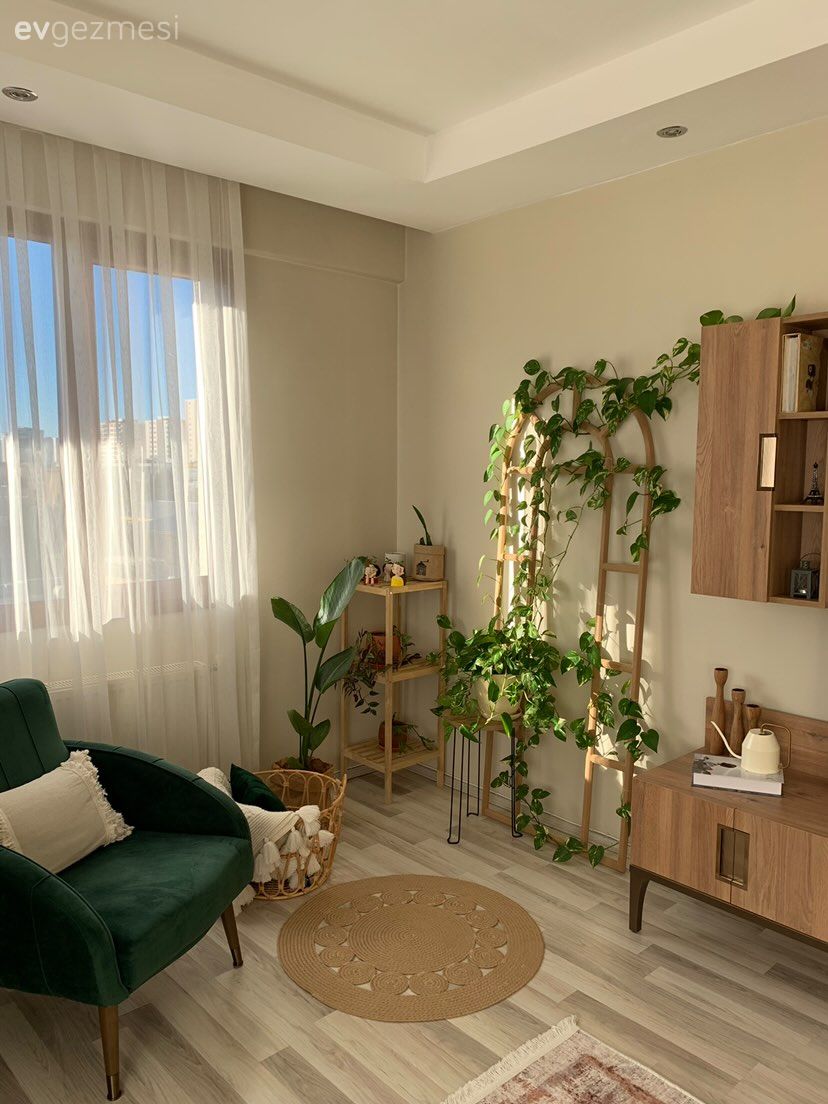 Ahşap Mobilya, Tv ünitesi, Tv ünitesi aksesuarları, Ev Aksesuar, Ev bitkisi, Berjer, Jüt halı, Halı, Tül perde, Perde