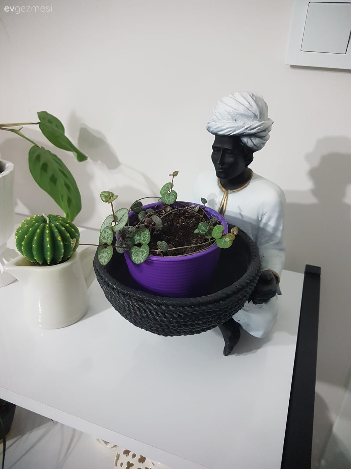 Açık raf, Beyaz, Siyah, Saksı, Dekoratif Objeler